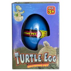 turtle-egg